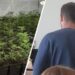 Përmbaruesi shkon t’iu sekuestrojë sendet shtëpiake shqiptarëve në Belgjikë, zbulon një plantacion droge
