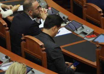 FOTOLAJM/ Basha dhe Bardhi sërish krah njëri-tjetrit edhe pas sherrit