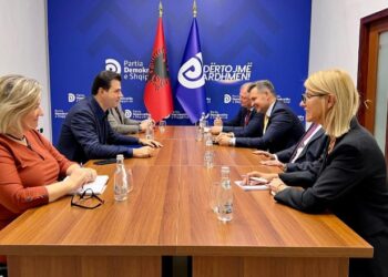 Takim me reporterët e Këshillit të Europës, Basha: I njoha me paketën e hartuar nga ekspertët e PD për Reformën Zgjedhore
