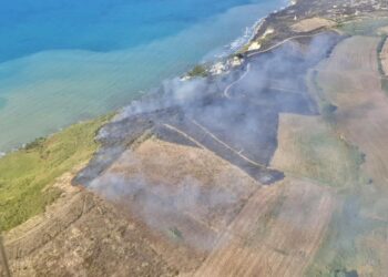 FOTOT/ Peleshi: Helikopteri Cougar, në shuarjen e zjarrit në Bashkinë Kavajë