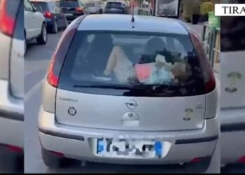 Ngjarja tronditëse në Tiranë: Shoferi fut fëmijën në bagazhin e makinës, gjobitet nga policia