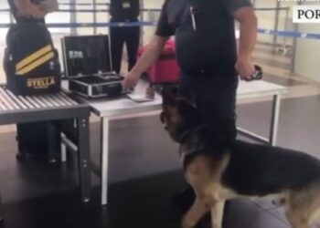 Tentoi të fuste armë në Shqipëri, arrestohet Sindrit Kola në Portin e Durrësit