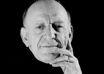 PD duhet nxjerrë nga pusi, jo të zbritet nga plepi!