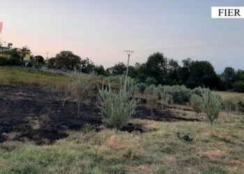 Identifikohen autorët e 3 zjarrvënieve në Fier, arrestohet një prej tyre