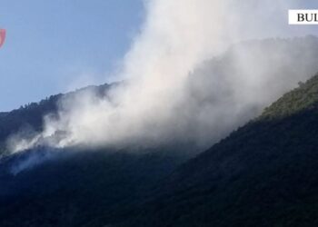 Ndezi zjarr për djegien e barishteve, por flakët përpinë një sipërfaqe me bimësi, në hetim një person në Bulqizë
