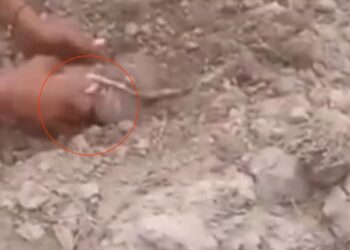 VIDEO| Një foshnjë e nxjerrin të gjallë nga rrënojat, pamje rrëqethëse nga Maroku