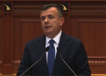 P/ligji për shtetësinë, Balla: Të mos testohen gjuha e historia shqiptare për qytetarët e Kosovës dhe Maqedonisë