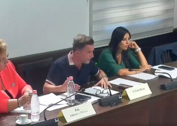 Rikthimi i basteve sportive/ Braçe: Të menaxhohen 100% nga shteti sipas modelit francez