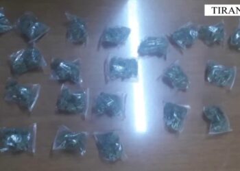 Një 23-vjeçar “bie në kurthin” e Tempullit, arrestohet me kanabis afër një shkolle