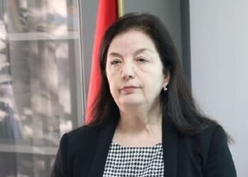 A do jenë pjesë emigrantët tek Censi 2023? Ja si përgjigjet drejtoresha e INSTAT: Nuk….!