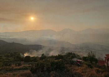 EMRI/ I vuri zjarrin tokës por dogji 3 shtëpi në Finiq, identifikohet dhe shpallet në kërkim 36-vjeçari