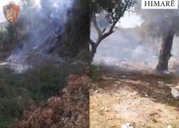 Himarë/ Ndezën zjarre të cilët u përhapën dhe dogjën sipërfaqe me ullinj dhe shkurre, procedohen 2 autorët