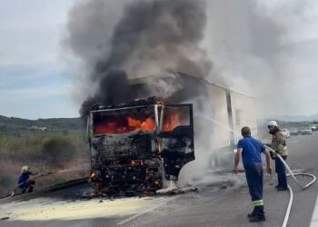 VIDEO/ Shkrumbohet kamioni i ngarkuar me dru në autostradën Vlorë-Fier