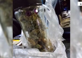 VIDEO/ Arrestohen 4 të huaj në Kakavijë, po transportonin kanabis drejt Greqisë