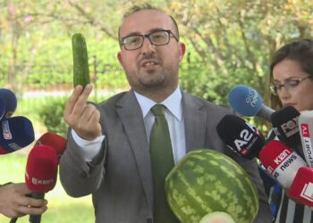 Korreshi flet me bindje: Basha nuk ka asnjë marrëdhënie me SHBA-të