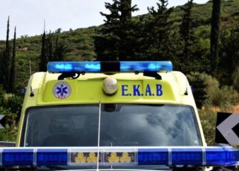 Ngjarja e rëndë: 35-vjeçari me shufër metalike hyn në banesë për të vjedhur, pronari e qëllon për vdekje