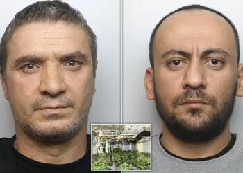 U kapën në “shtëpi bari” me kanabis me vlerë 800 mijë paund, 2 vite burg për 2 shqiptarët