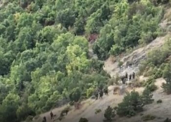 VIDEO/ Ky është momenti kur sulmuesit serbë ikin maleve nga autoritetet e Kosovës. Ja sa terroristë shpëtuan