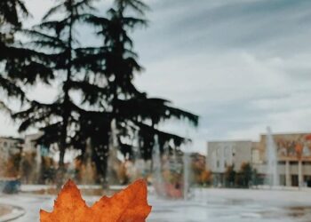 Harrojini temperaturat e larta, kjo fundjavë sjell zyrtarisht vjeshtën në Shqipëri