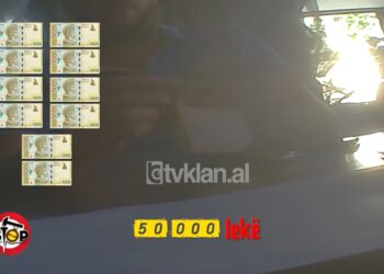 50 mijë lekë për kartë vrojtuesi plazhi, pushuesit rrezikojnë jetën