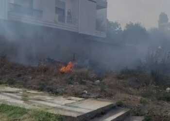 Zjarr pranë varrezave të dëshmorëve në Fier, flakët rrezikuan një banesë