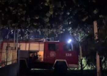 Dogji mbeturinat, flakët përfshinë sipërfaqe të mëdha me ullinj e rrezikuan banesat, shoqërohet në polici i moshuari