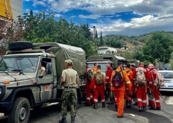 Fiket zjarri në Lushnjë, Balla: Shmangëm dëme të shumta, mirënjohje të gjithë strukturave