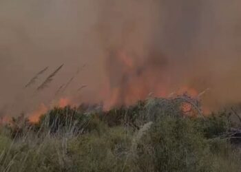 Zjarri në Pishporo të Fierit vijon të riaktivizohet, shkak era e fortë