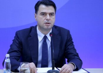 “Armatimi në Kosovë është futur prej muajsh”, Basha: Vuçiç i përfshirë në sulmet në veri