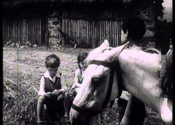 Historiani kinematografik tregon si përzgjidheshin filmat në kohën e Enver Hoxhës