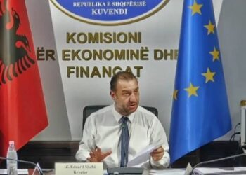 “Z. Frroku”/ Batutat te ‘Ekonomia’, Shalsi ngatërron mbiemrin e deputetetit të PS: Frroku është në….