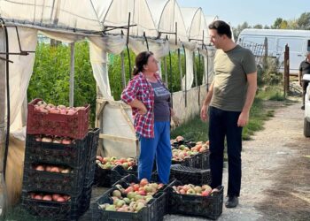 Basha me fermerët në Urën Vajgurore: Pezullimi i granteve të IPARD, makutëri e qeverisë