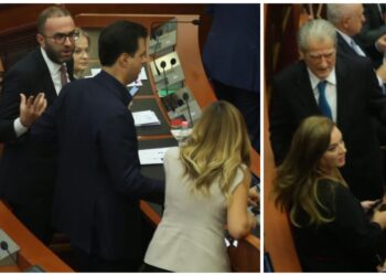 Sherri për kullat në PD/ Analisti-Bardhit: Sqaro njëherë akuzat ndaj Berishës, pastaj ato ndaj Bashës