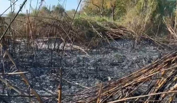 Disa vatra zjarri në Marinzë/ Flakët rrezikuan banesat, ndërhyrja në kohë evitoi përkeqësimin e situatës