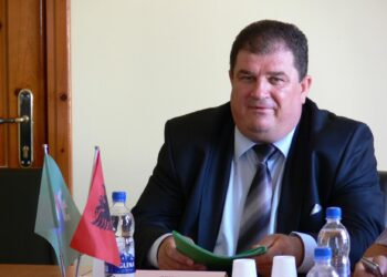 Kanosi efektivët e policisë pas gjobës për makinën, arrestohet ish-kryebashkiaku i PS