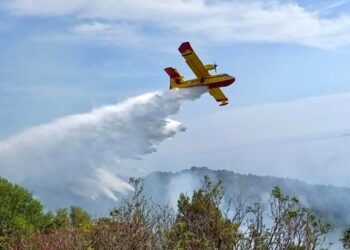 Greqia dërgon një avion Canadair për shuarjen e zjarrit në Pishporo