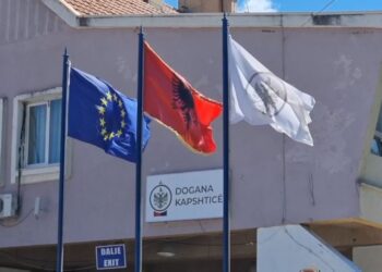 Operacioni/ Sekuestrohet arsenal armësh në Kapshticë, një i arrestuar