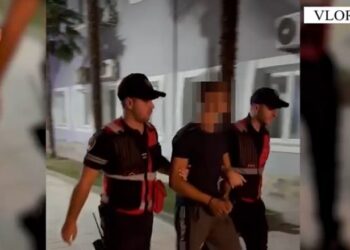 Qindra kg drogë në magazinë e mijëra bimë në parcelë: Tre në pranga, pezullohen dhe tre policë në Vlorë