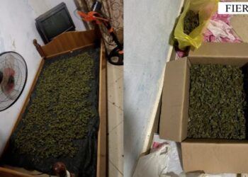 Po thante 2 kilogram kanabis për ta shitur, arrestohet 43-vjeçari në Fier