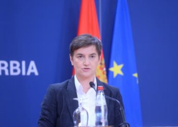 Bërnabiç për Radoiçiçin: Do t’i hetojmë të gjitha rrethanat