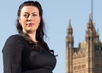 Sulmet serbe në veri të Kosovës, deputetja britanike: Dy javë pasi pranoi fajin, Radoiçiç vazhdon të jetë i lirë
