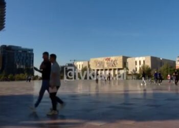 Nis Garancia Rinore, skema e punësimit të të rinjve