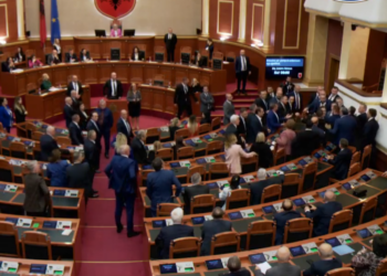 VIDEO/ Deputeti i i Berishës godet me grusht Vullnet Sinën e PS! Si nisi sherri në Kuvend