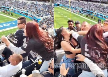VIDEO/ Grushte e shkelma në tribuna, dy femra godasin njëra-tjetrën, pasohen dhe nga grushtet e dy burrave!