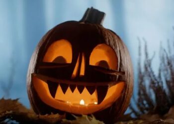 Kryeqyteti përgatitet për Halloween, Veliaj publikon pamjet nga ZooParkTirana