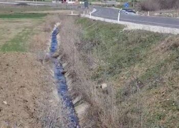 Policia e gjeti të vdekur në kanal, si u vra 70-vjeçari nga fqinji i tij me sëpatë në Shkodër