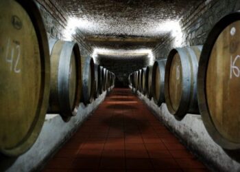 VIDEO / Denaj: Mbi 75 hektarë vreshta të regjistruara dhe 75 kantina në Kadastrën e Verës