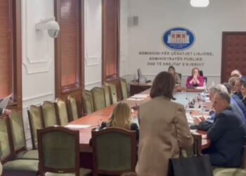 Plas sherri mes PD dhe PS në komisionet parlamentare