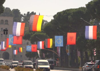 Tentoi të çajë perimetrin e sigurisë të vendosur për Samitin, shoqërohet i riu