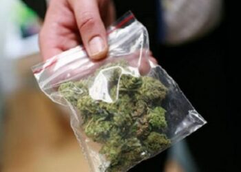 Iu gjet kanabis në makinë, arrestohet 21-vjeçari në Korçë